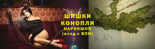 молекула духа Дмитриев