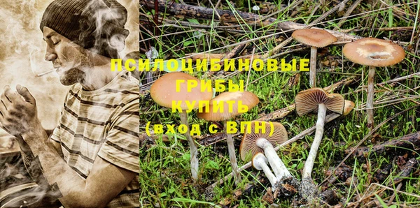 ПСИЛОЦИБИНОВЫЕ ГРИБЫ Пестово