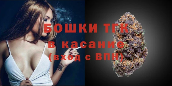 молекула духа Дмитриев